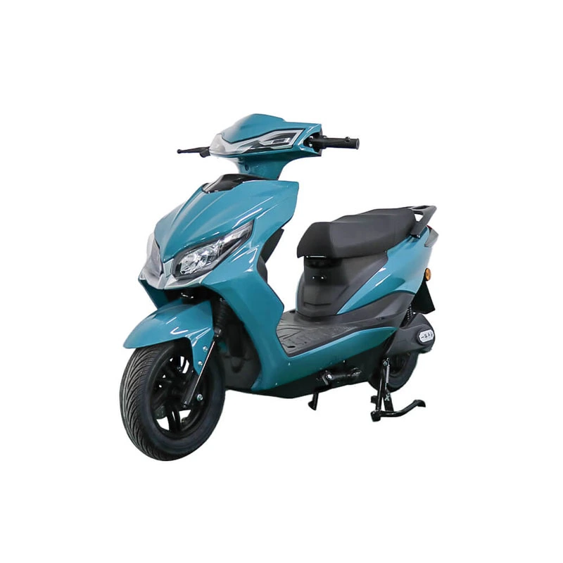 Elektrisk cykel general vuxen batterilag