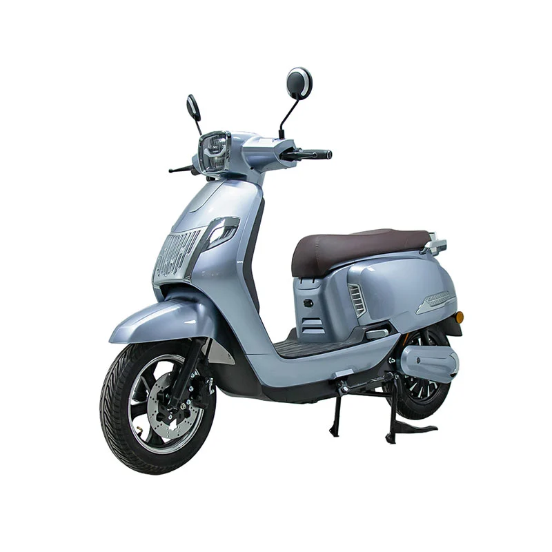 Elektrisk motorcykel för vuxna 10 tum 800W motorcykel